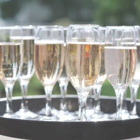 champagne glasses